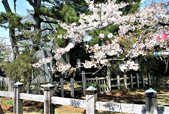 🏞️ 오지 마시오 관문 공원 (나코소노세키 코엔) 이미지 10